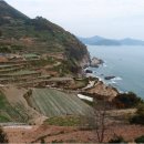 개포주공/개포시영 개포저층재건축 12월1일 시세및 현황입니다/개포주공4단지 사업시행인가 통과 이미지