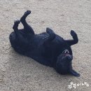 퓨어남 | 제목학원