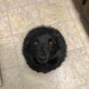 동글동글 이미지