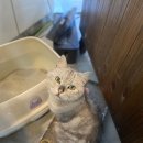 마임헤어 - 김천시 | 마임헤어