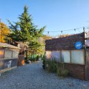 정글펜션 이미지