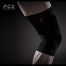 피씨에스(pcs) 이미지