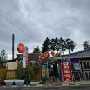 평창메밀막국수(본점) | 강원도 평창 유천막국수 본점 메밀막국수 온면 꿩만두찜 월정사 근처 맛집