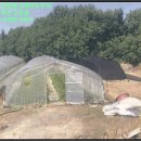 성주군대가면용흥보건진료소 이미지