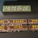 갤러리게르카페