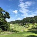엑스골프 뉴시스