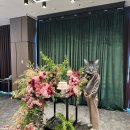 남대문가든 | W. 코트야드 메리어트 서울 남대문 2025 웨딩쇼케이스 방문 후기(야외·테라스·스몰웨딩 / 견적공유O)