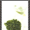 차마시기 이미지