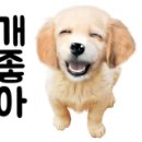 부산여대차박물관 이미지