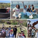 화도초등학교 이미지