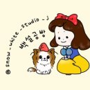 펫스티발 이미지