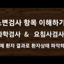 소변검사 결과 보면서 환자상태 파악해 보기(화학검사 &amp; 요침사)#61 공개 이미지