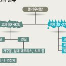 동성화학 이미지