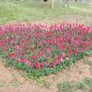 해남카클리닉 이미지