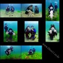 월포주유소 이미지