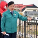 상하리 벚꽃길 이미지