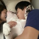하정 동물병원 이미지