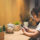 컴패니언 이미지