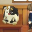 수경목장 이미지