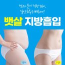 더쉐이프 | 뱃살지방흡입 후기 나뉘는 진짜 이유 (통증, 회복, 부작용의 비밀)