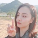홍인영 카카오 검색결과
