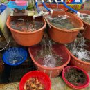 왕돌회수산 이미지