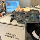 아기옷 할인매장 추천 평촌 오프라벨 블루독베이비