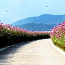 이천초교 이미지