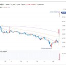 피앤이 바이오 이미지