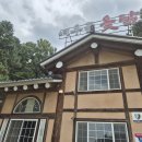 여우골옻닭 이미지