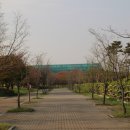 화랑유원지(중심광장) 이미지