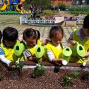 곡성유치원 이미지