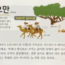 26. 아시아: 오만(Oman) 이미지