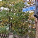 수풍로23번길 이미지