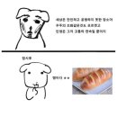 부평구 청소년수련관(체육관로76) | [발레 작품]D-DAY SW발레 정기공연 1회 &amp; 나의 데뷔 무대 (SW발레 아카데미, 성인 취미 발레)