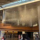 덕은점 현대자동차 | 신라호텔 팔선 돌잔치 샤론룸 코스 후기