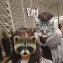 동행주유소 | 신혼여행 6일차|라스베가스 그랜드캐니언 당일투어 후기 (마이리얼트립 이용, 솔직후기)