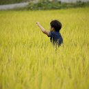 생금들친환경 영농조합법인 이미지