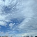 청명세탁소 이미지