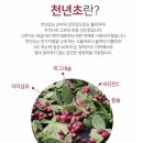 70인식품