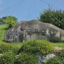 파인파골프클럽 이미지