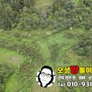 동영천IC주유소 이미지