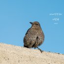 어달항회센터 이미지