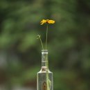 하늘연못팬션 이미지