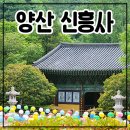 신흥사 대광전 | 양산 신흥사 - 작은 절인데 볼게 많아~ 대광전 보수공사 얼른 끝내주세요ㅜㅜ