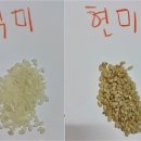 일림산권역