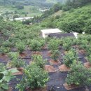 문화농장 이미지