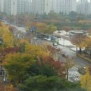 필레오트윈파크1 이미지