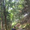 한솔뜰근린공원 이미지