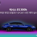 원세이프티솔루션 데일리카
